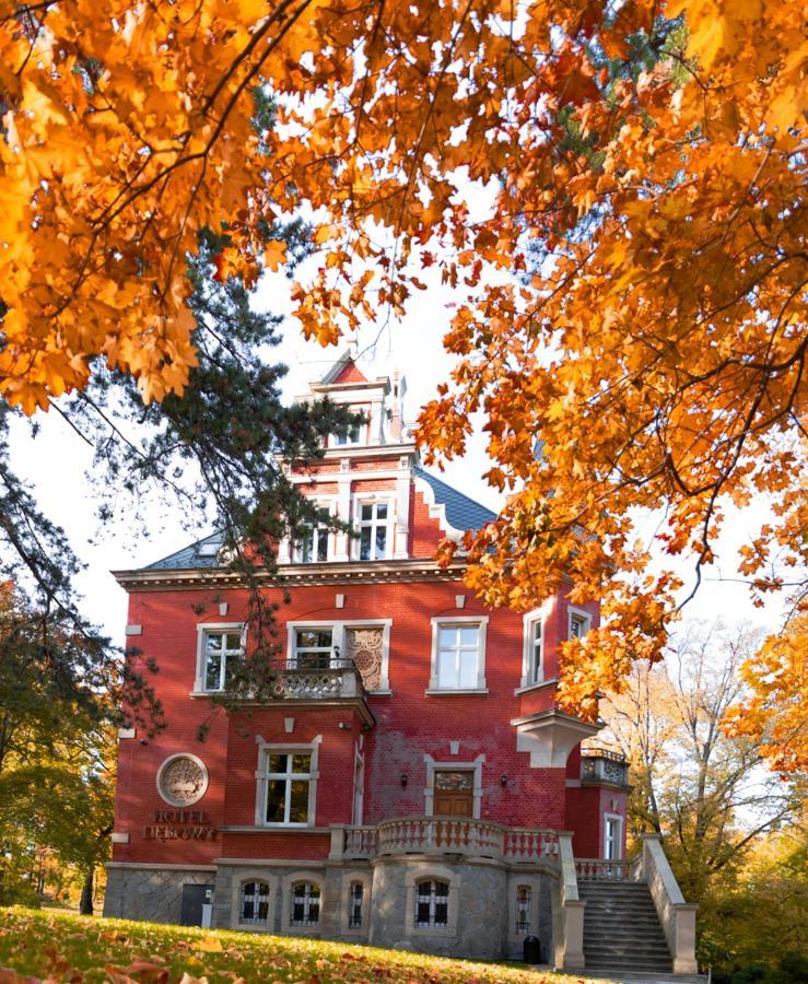 Hotel Debowy Biowellness & Spa Gory Sowie Bielawa (Dzierzoniow) Exterior foto