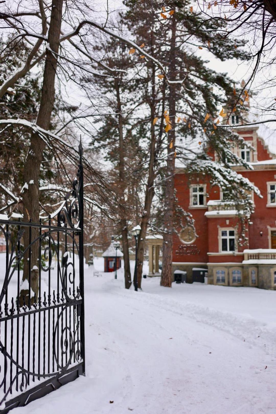 Hotel Debowy Biowellness & Spa Gory Sowie Bielawa (Dzierzoniow) Exterior foto
